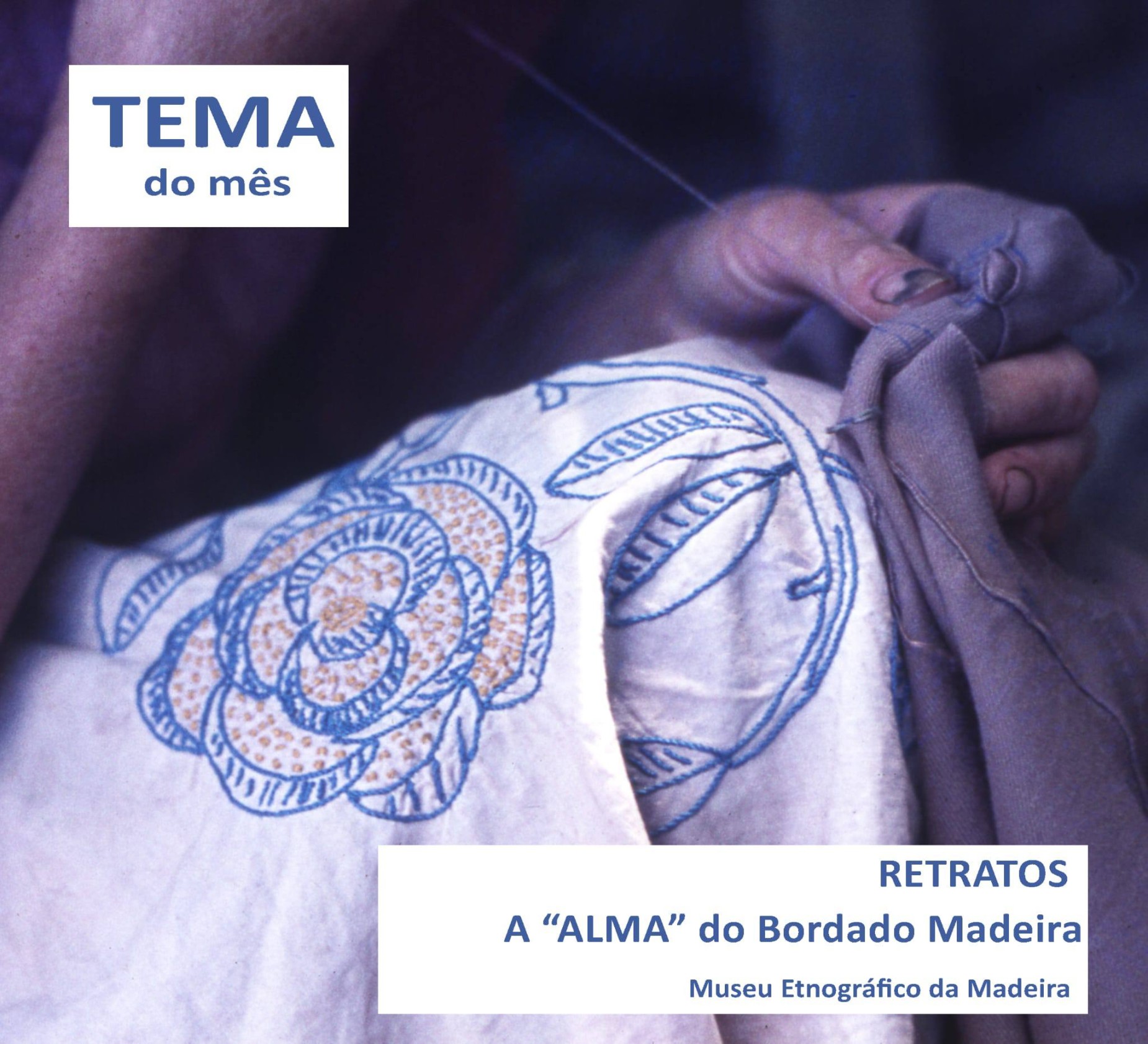 1almaMEM 02FEV 2026
