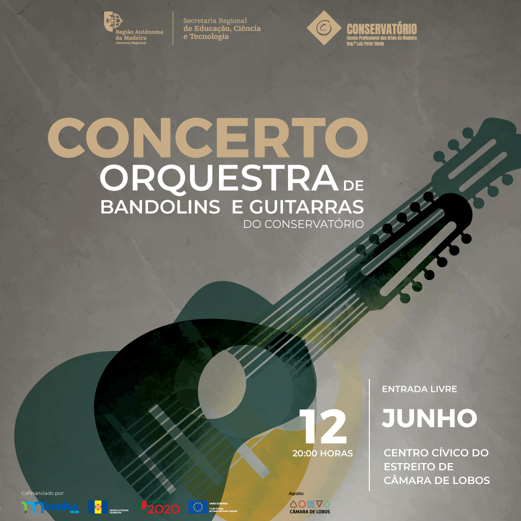 12concertobandolins