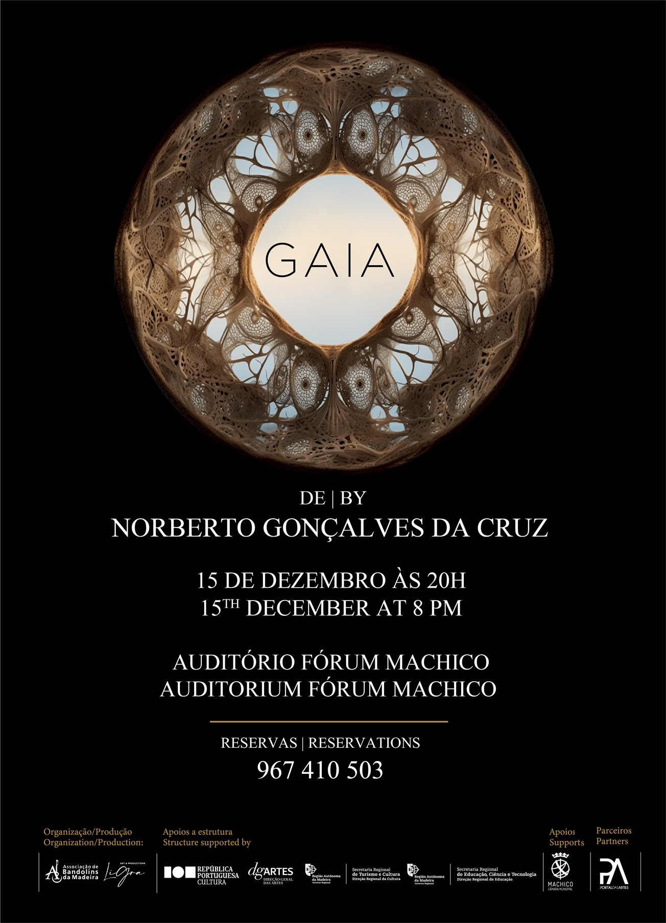 15concerto n