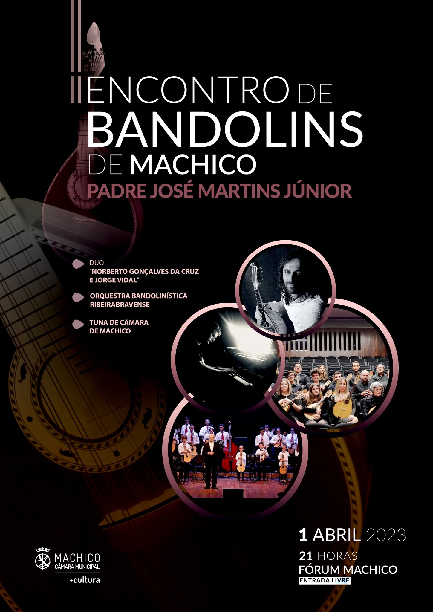 1abrilencontrobandolins23 n