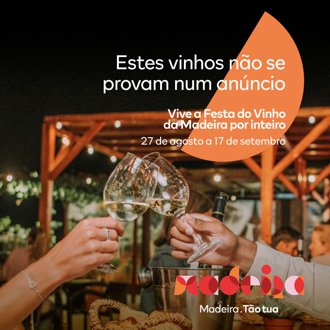 cartazfestadovinho23 n