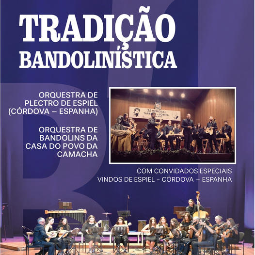 concertobandolinistica n