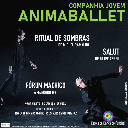 dancadofunchal23 n