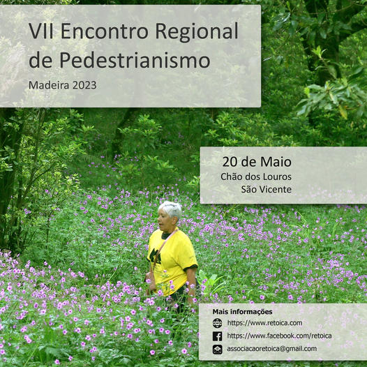 encontropedestrianismo n