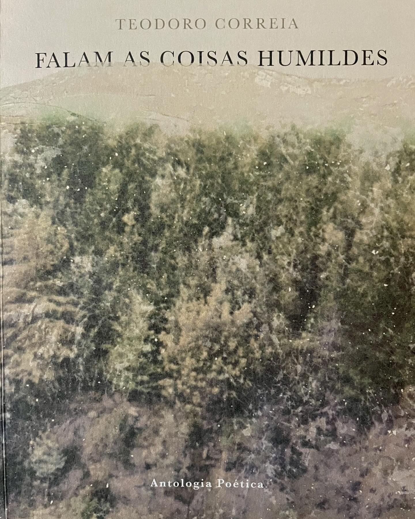 livrofalamascoisas n