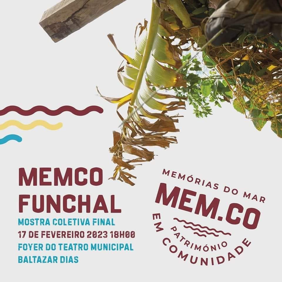 memco23 n
