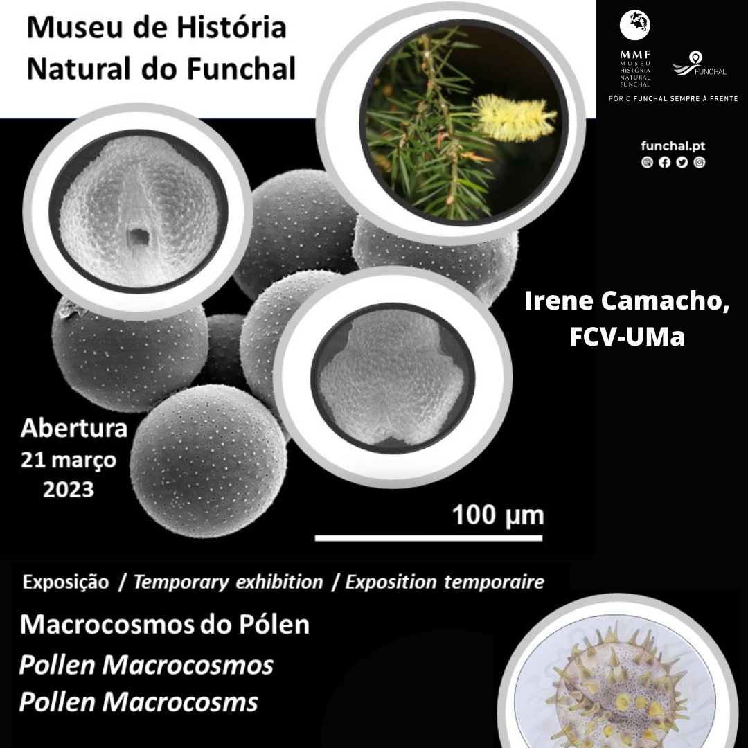 museuhistorianaturalRS