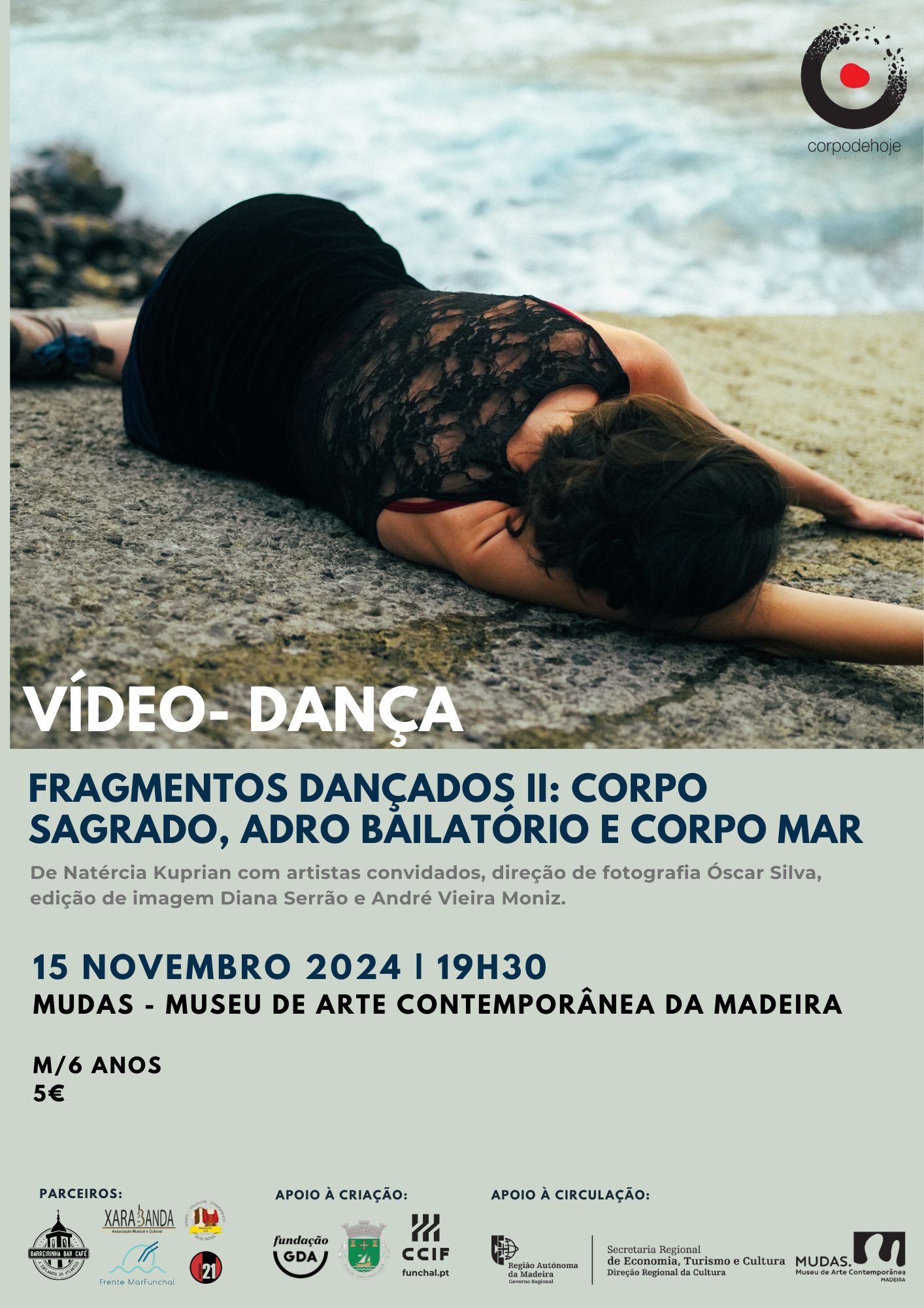 Cartaz Videodanca