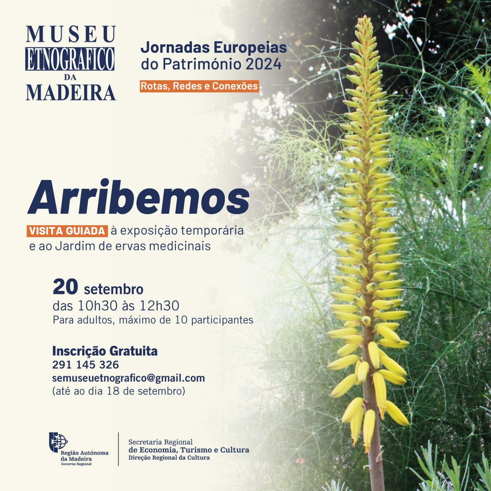 arribemos24n