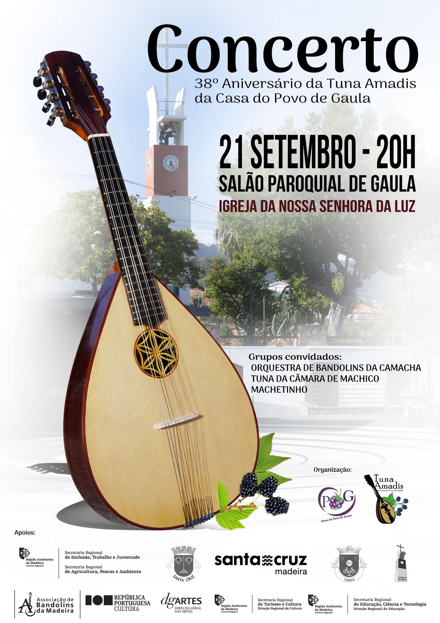 concertotunaamadis n