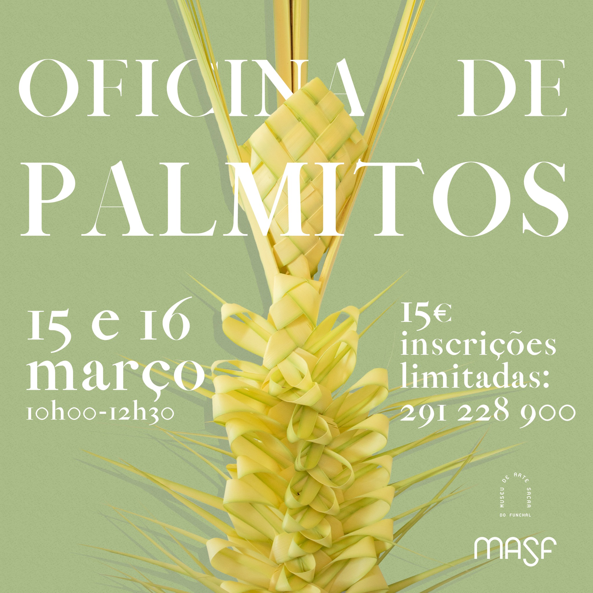 oficinapalmitos n