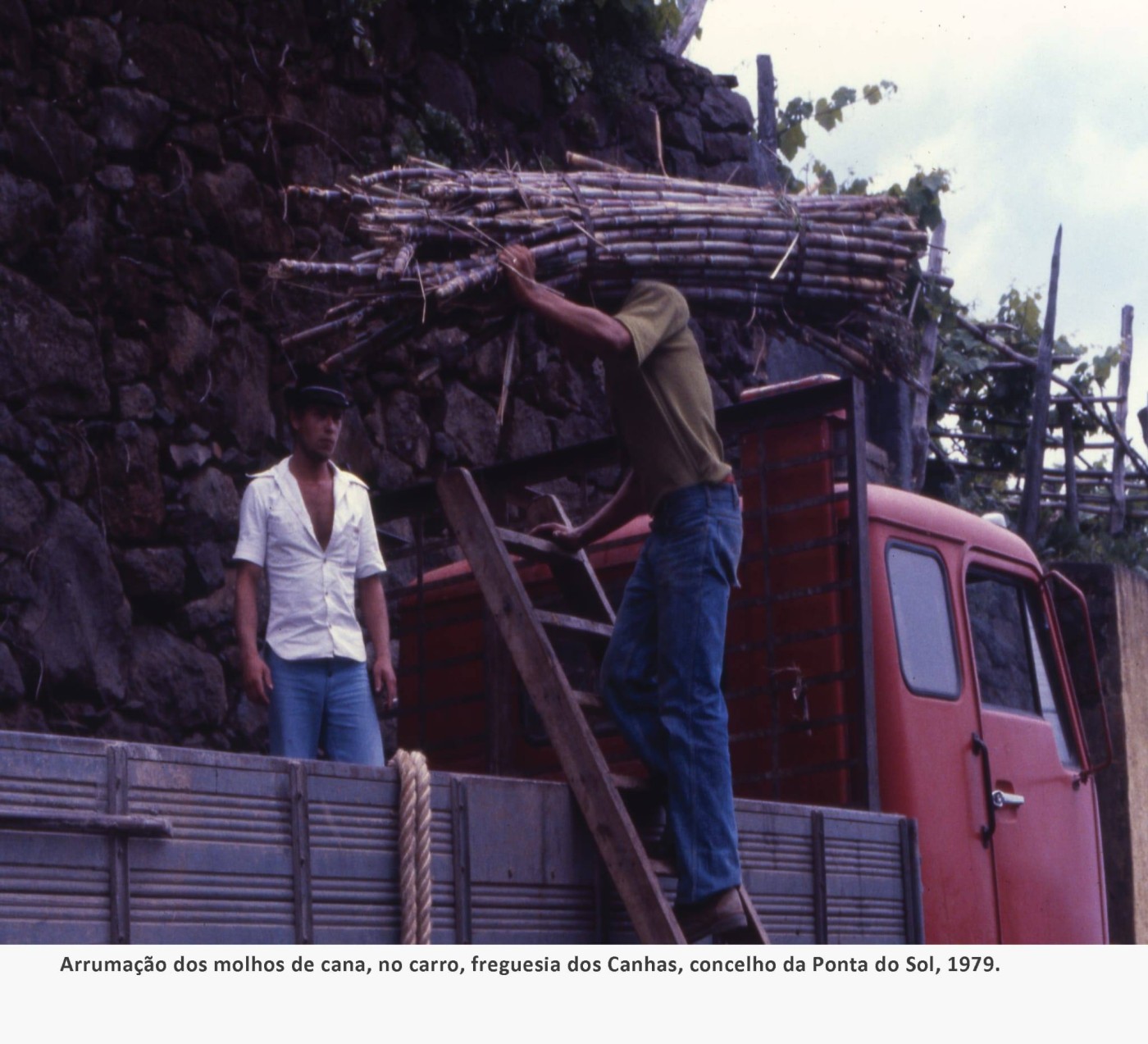 12faina CanaSacarina MAR2026