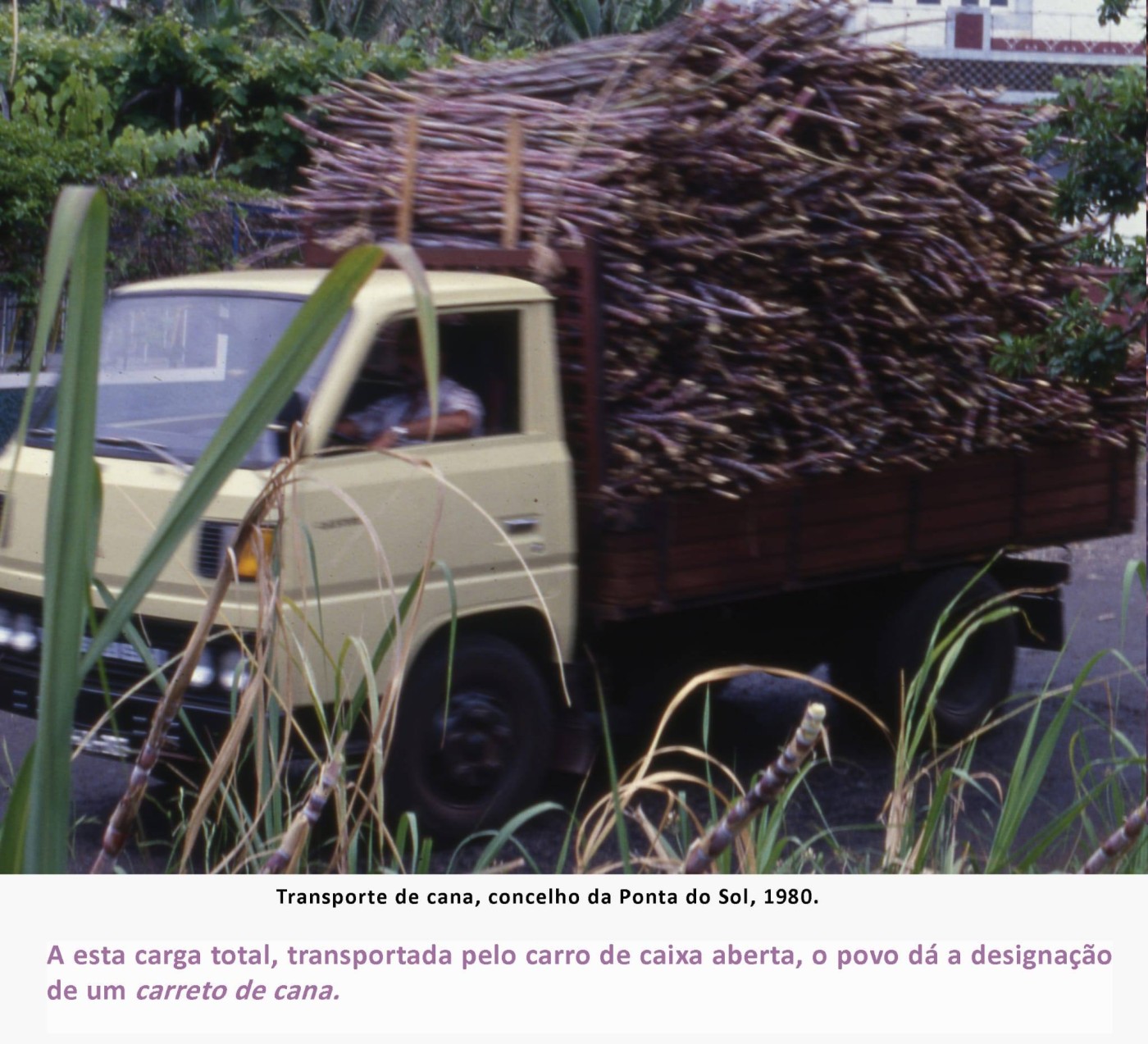 13FainaCanasacarina MAR2026