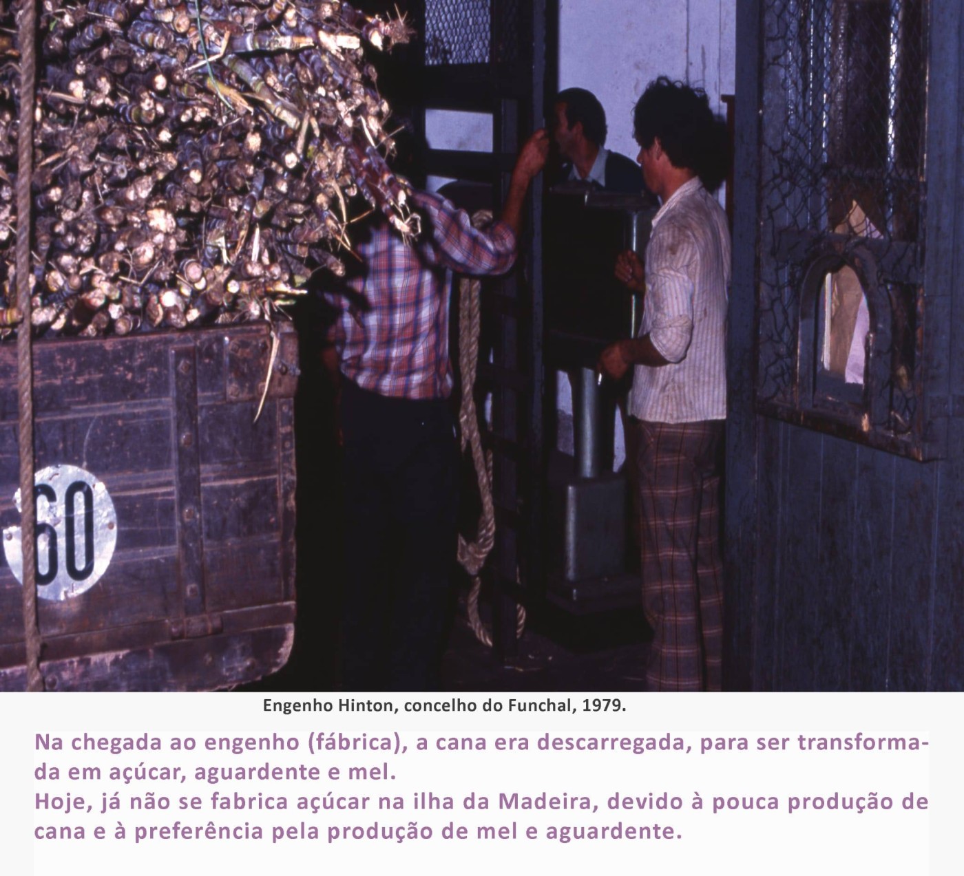 14fainaCanaSacarina MAR2026