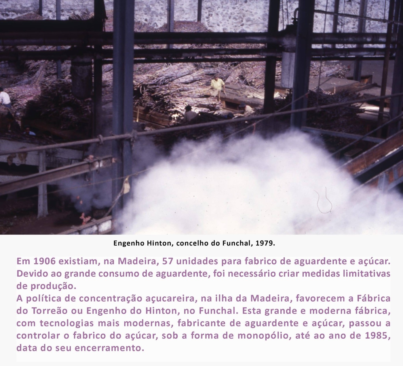 15FainaCanaSacarina MAR2026