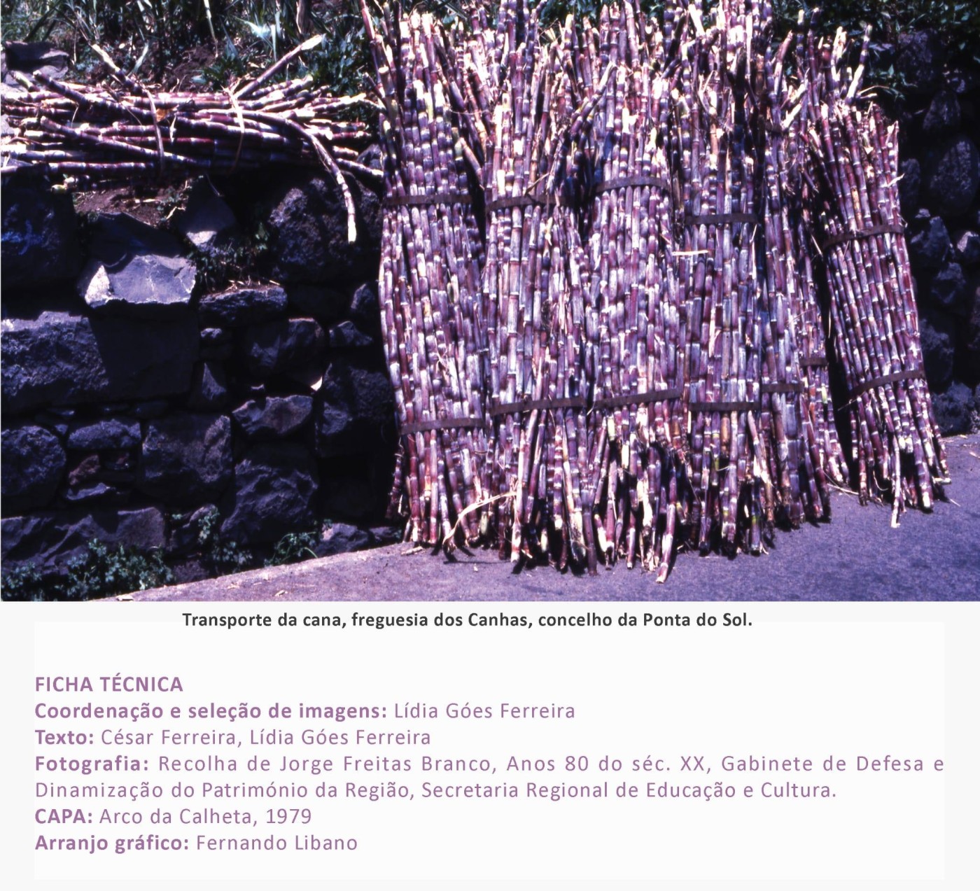 16fainaCanaSacarina MAR2026