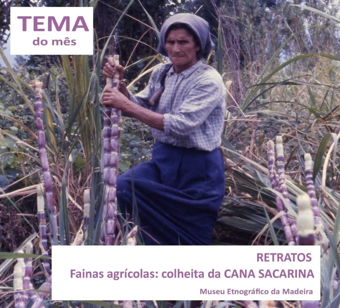 1fainacanasacarina MAR2026