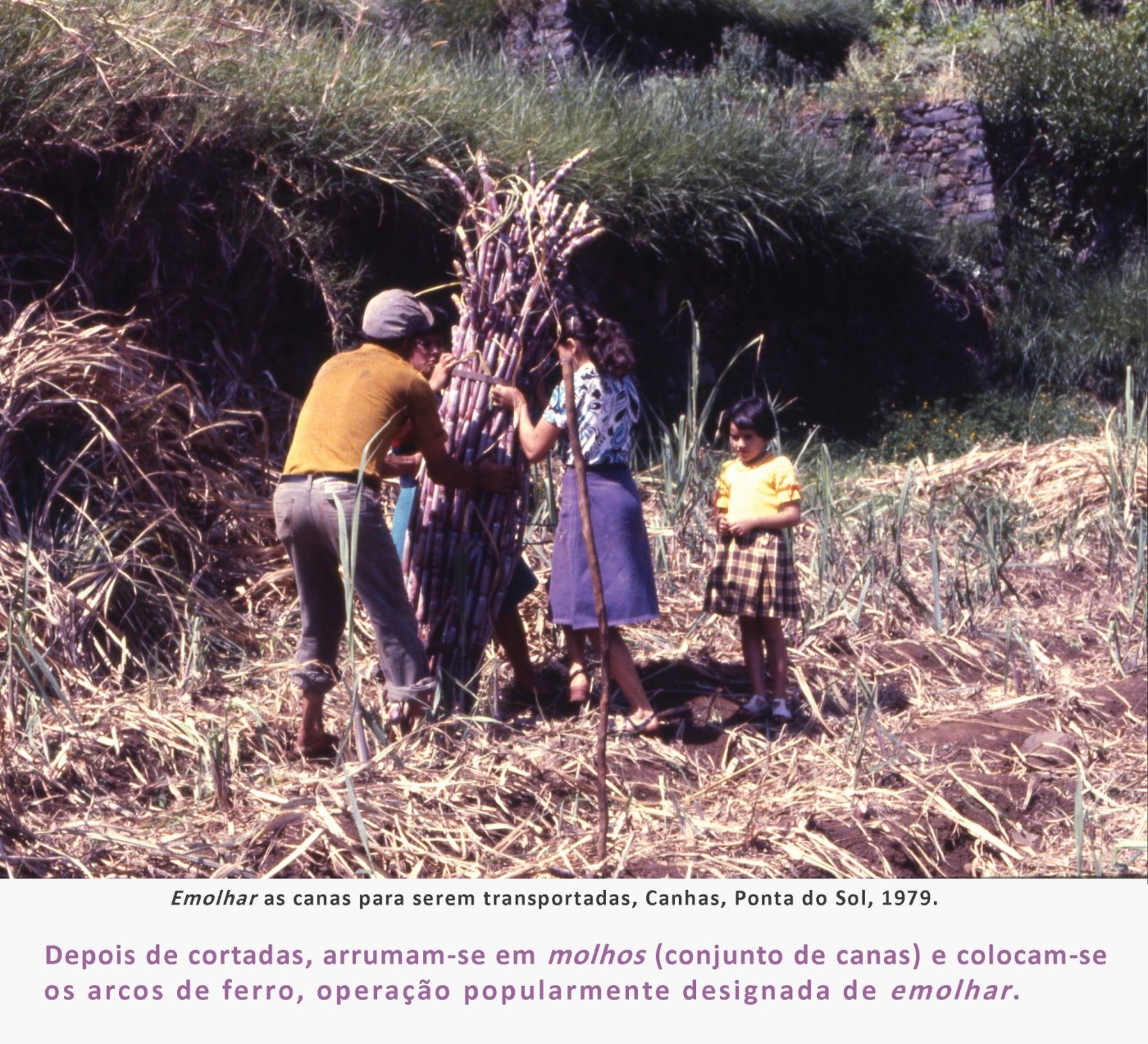 4fainacanasacarina MAR2026