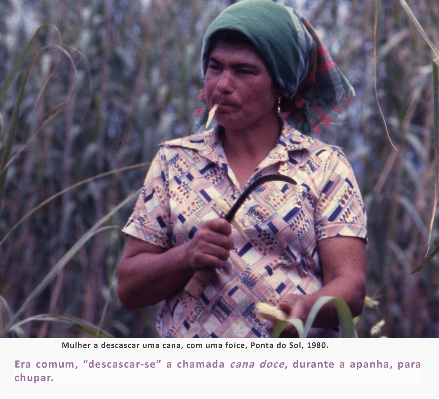 5fainacanasacarina MAR026