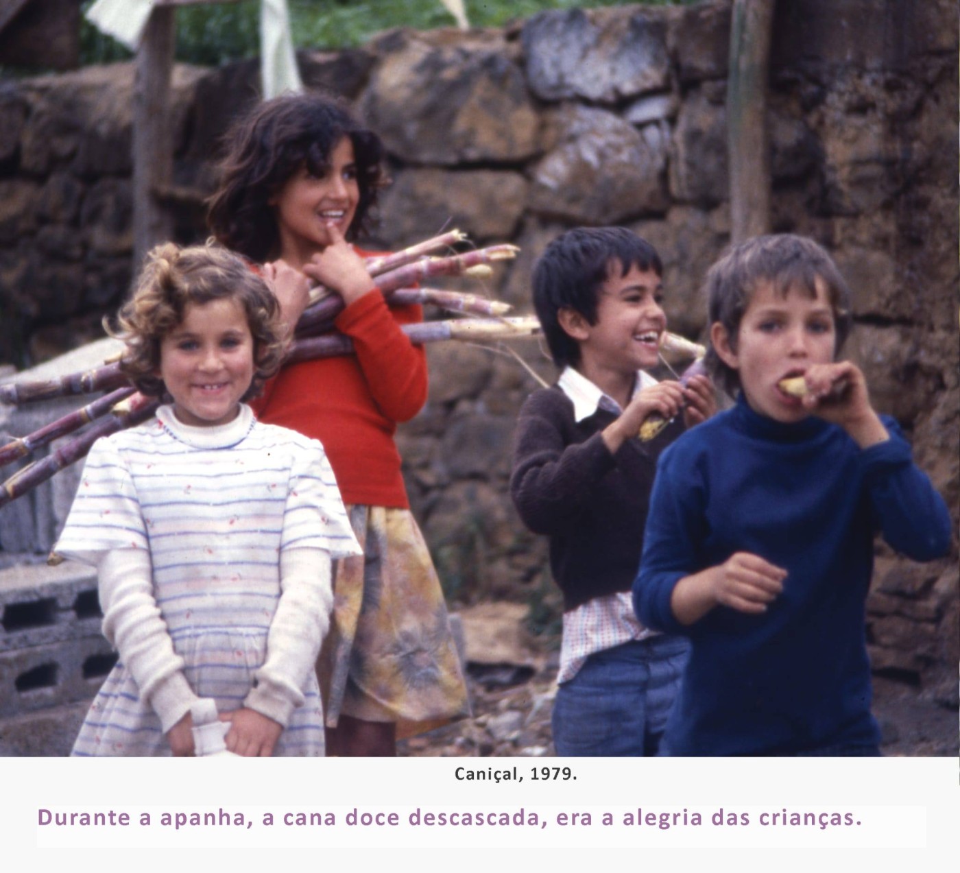 6fainaCanaSacarina MAR2026