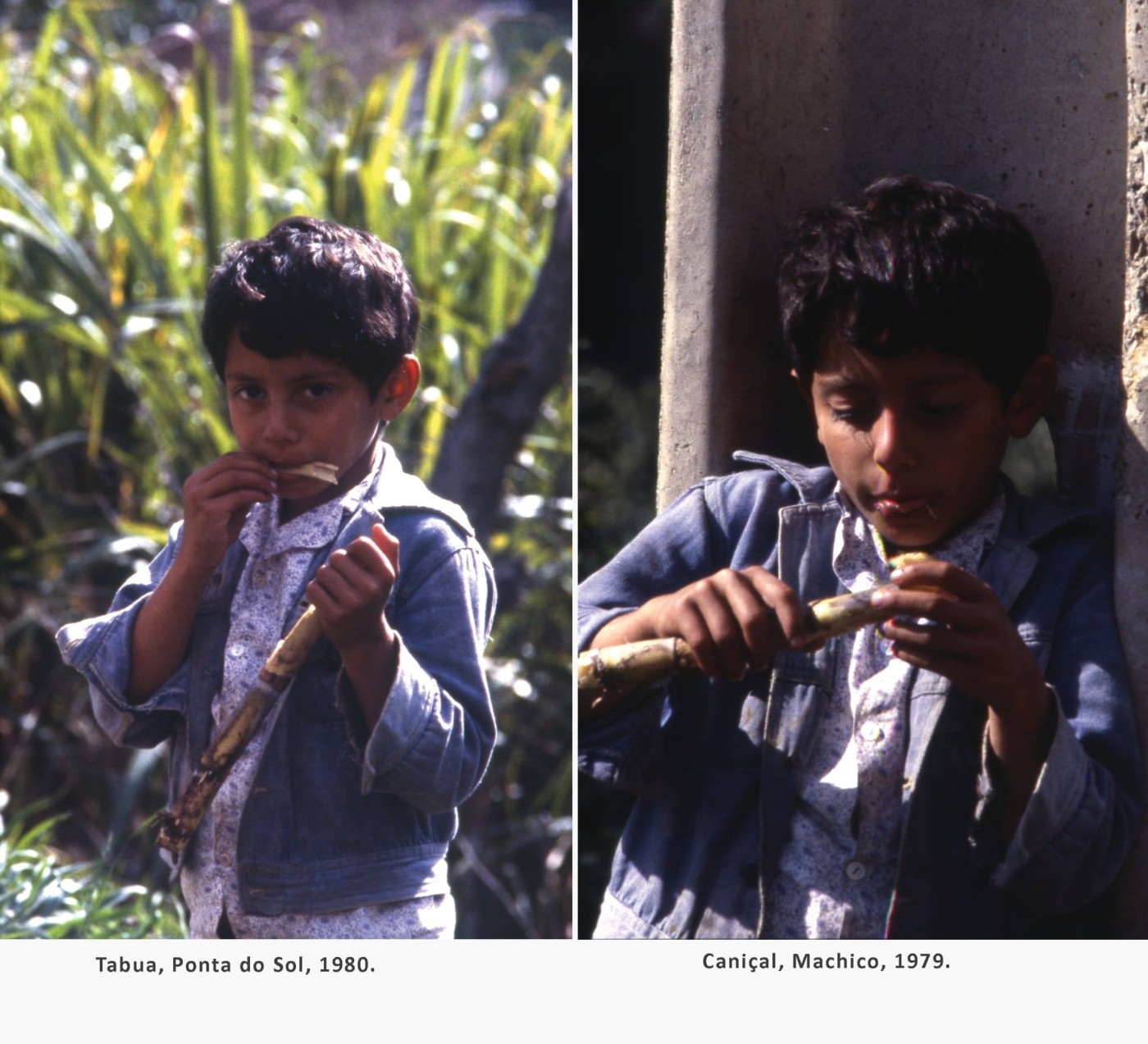 7fainaCanaSacarina MAR2026