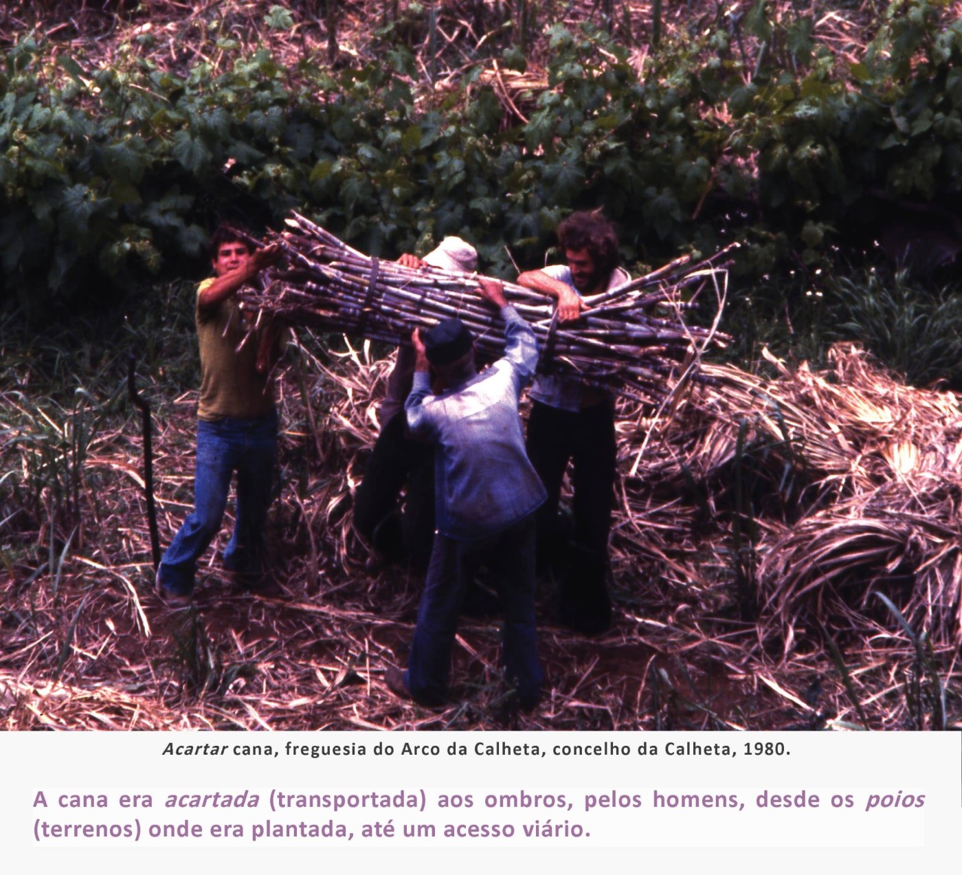 8fainaCanaSacarina MAR2026