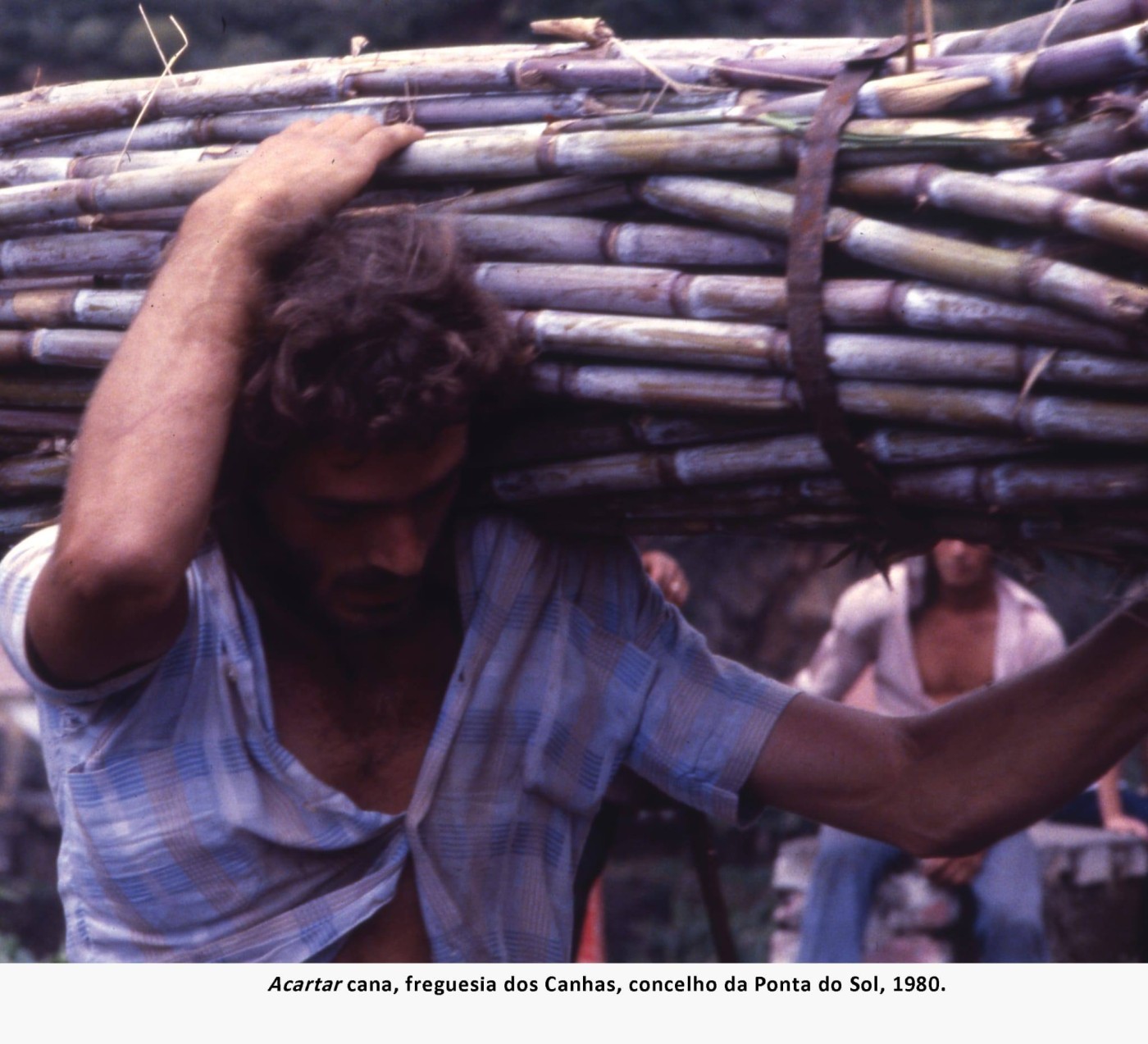 9fainaCanaSacarina MAR2026