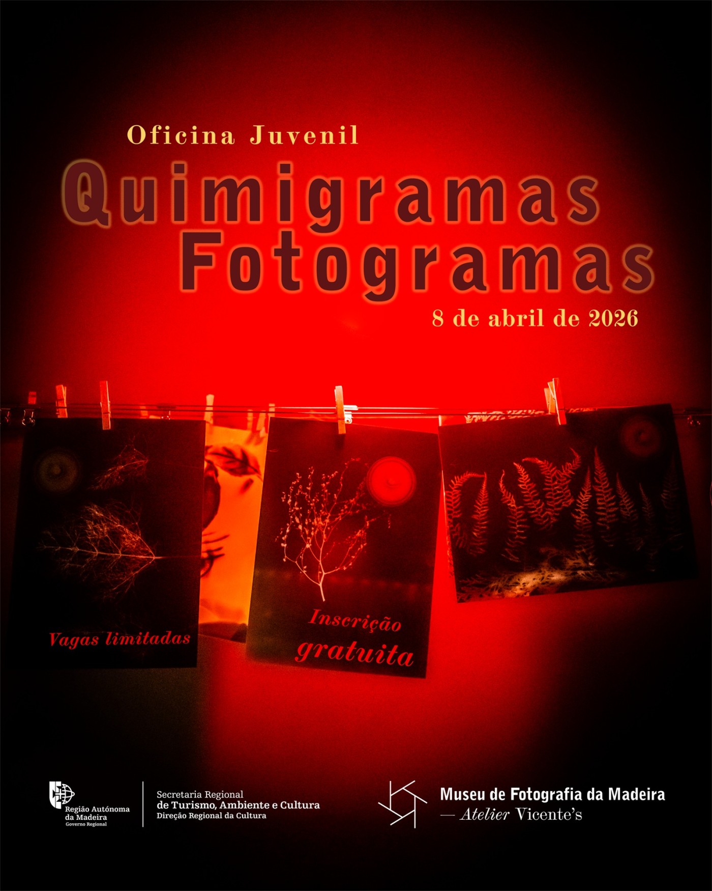 OficinaQuimigramasFotogramas 2026