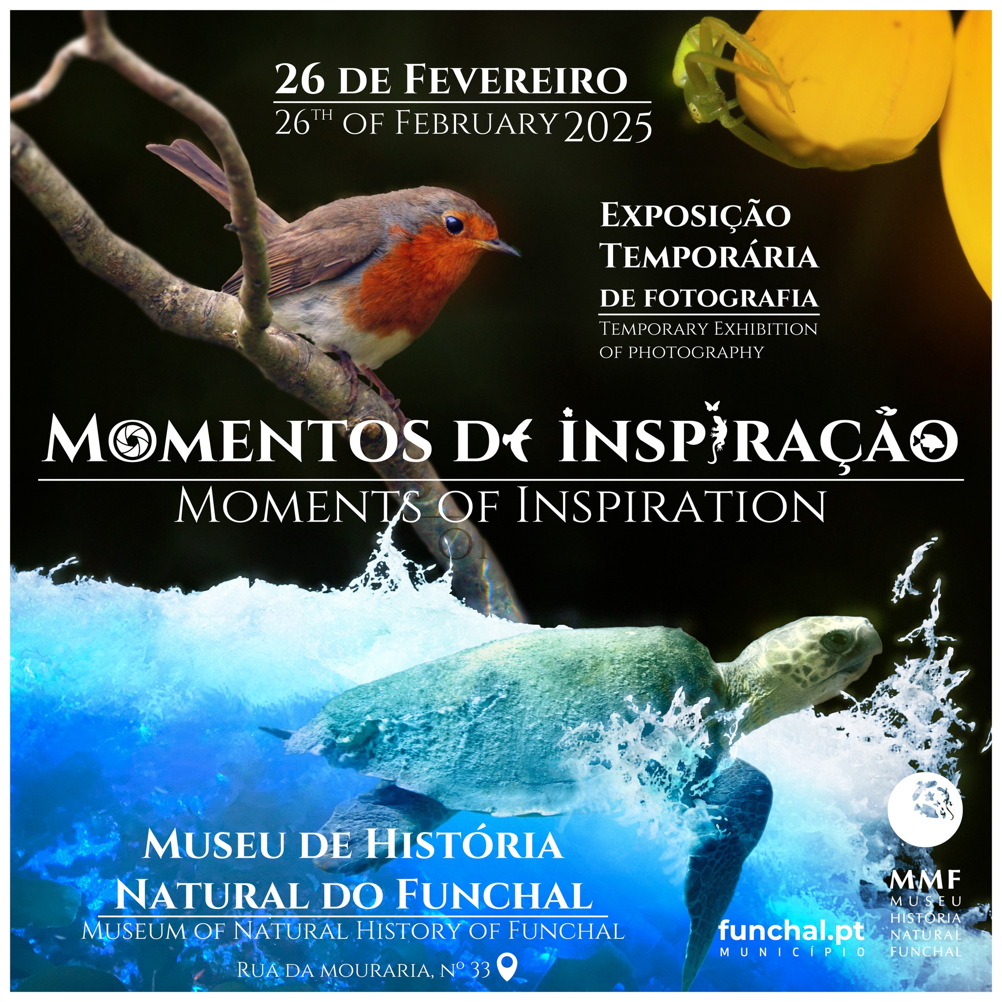 expomomentosdeinspiracao n