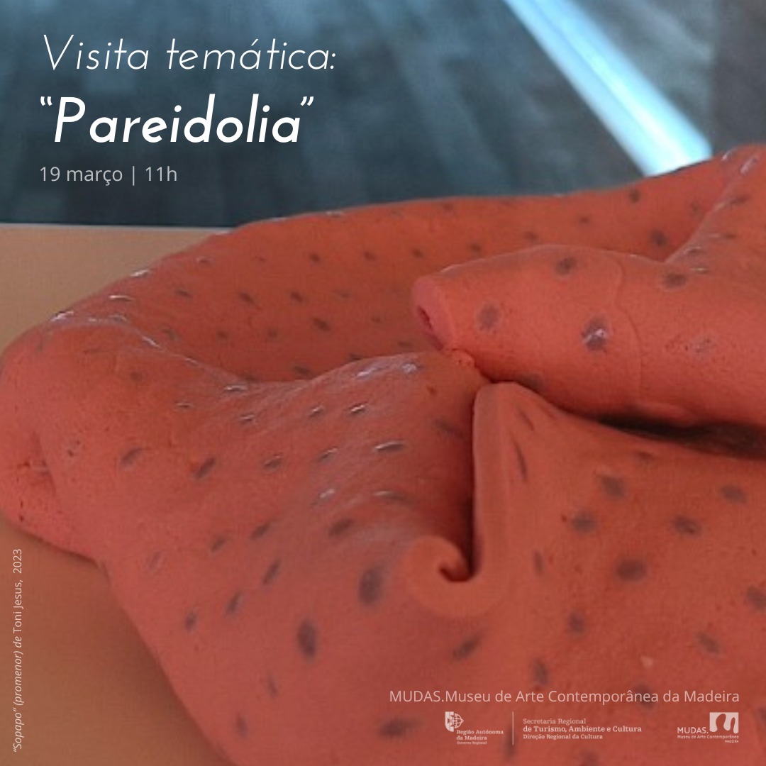 visitapareidolia MAR2026