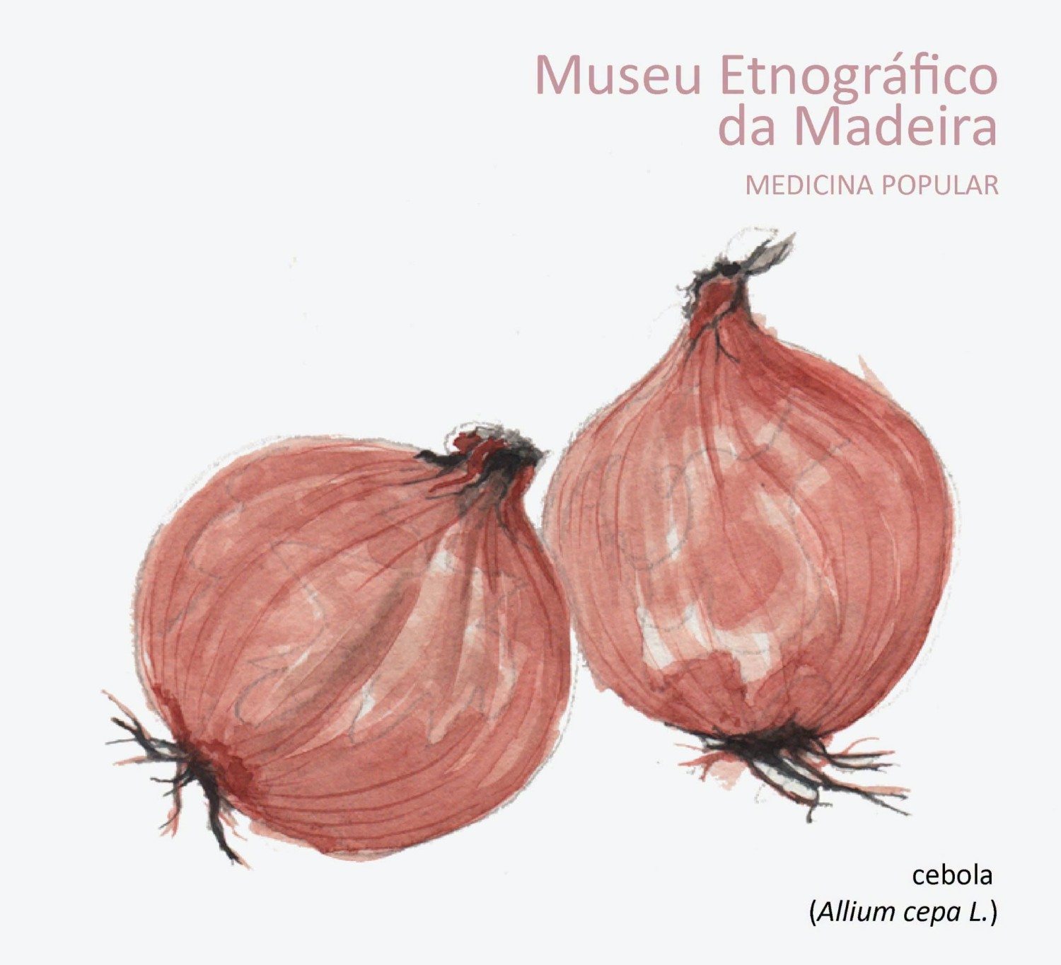 medicinapopularacebola JUN2026