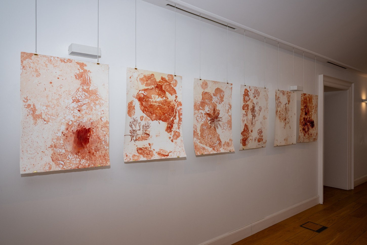 6expomacaronesiaII ABRIL2026