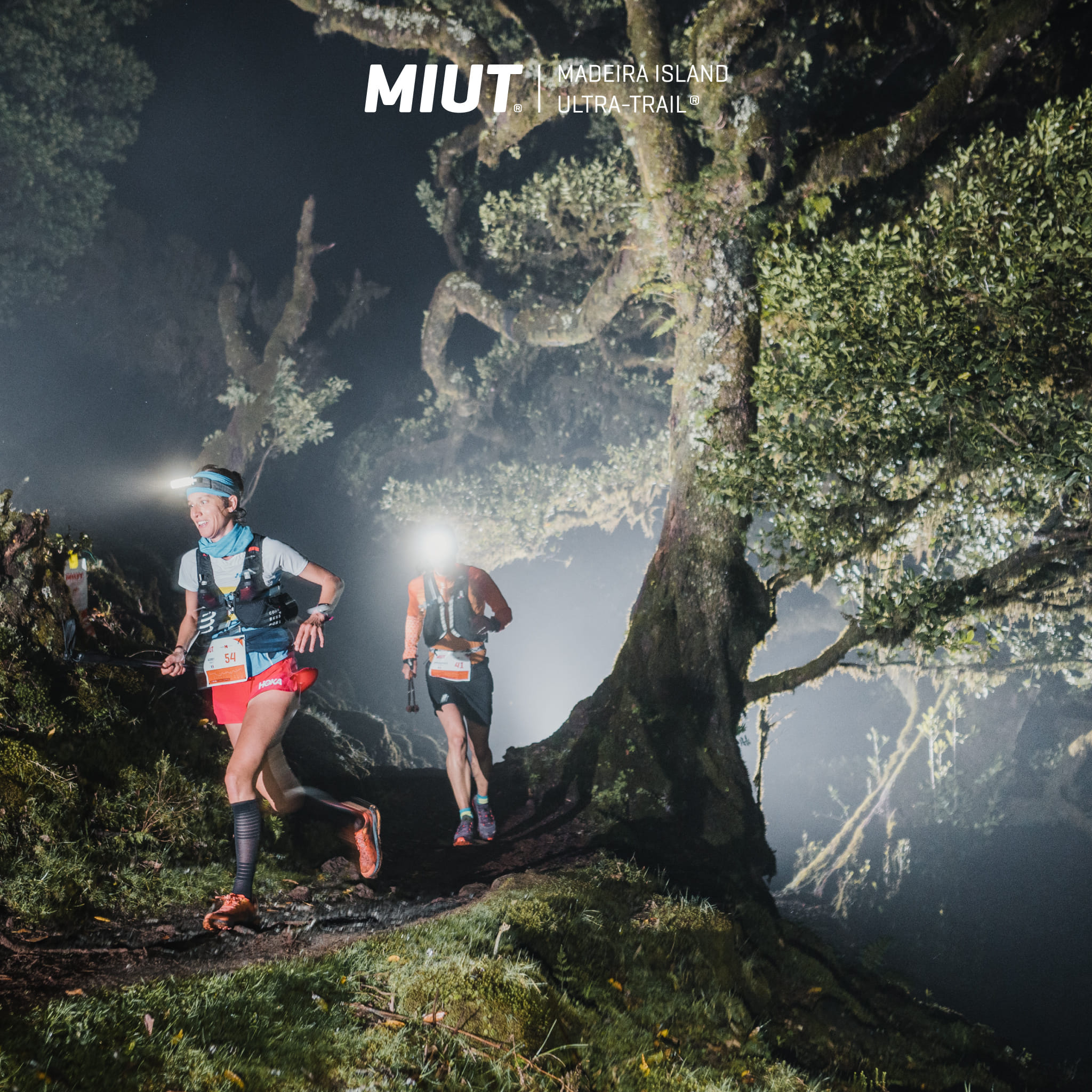 MIUT23 n