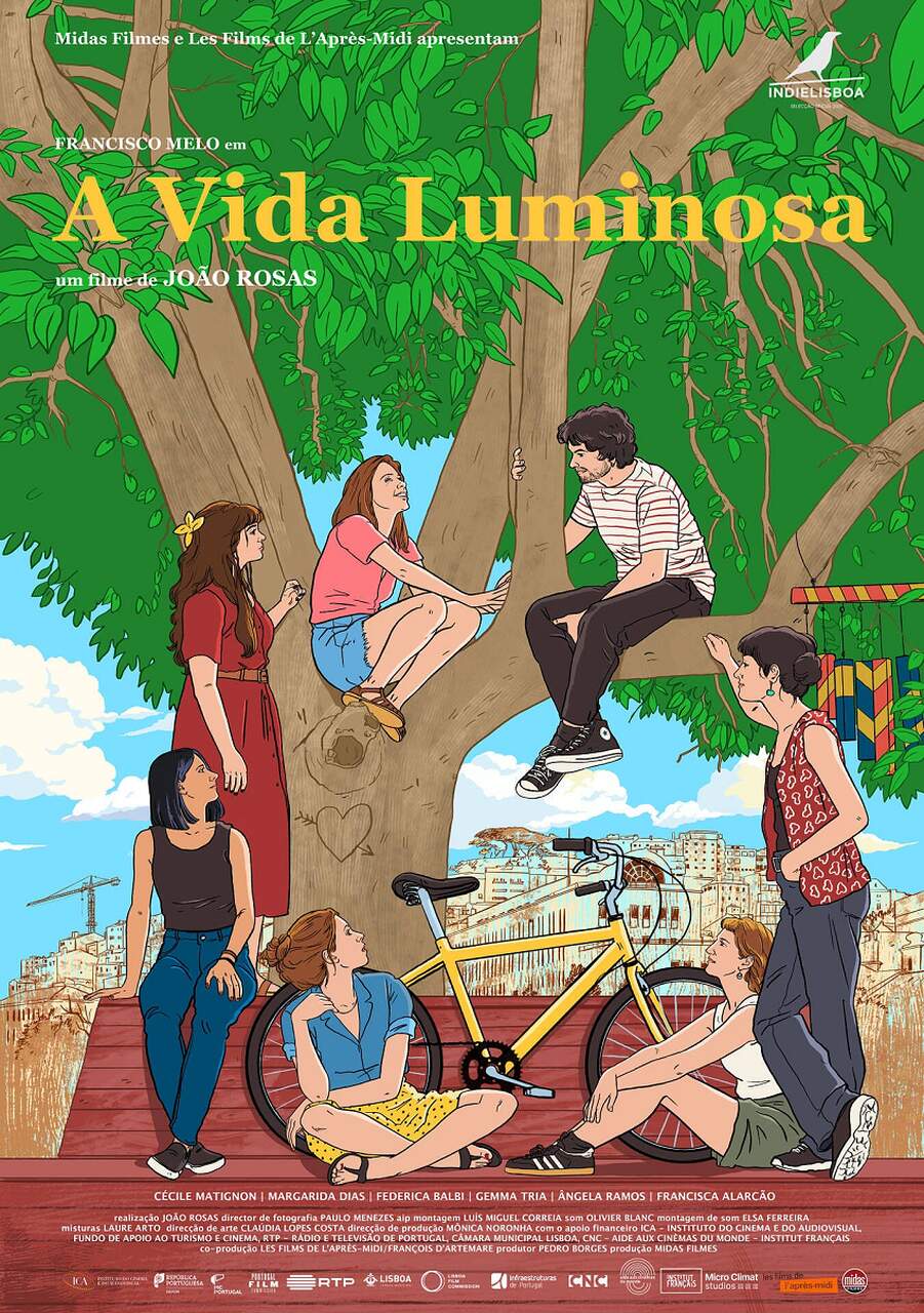2025.09.12 Vida luminosa