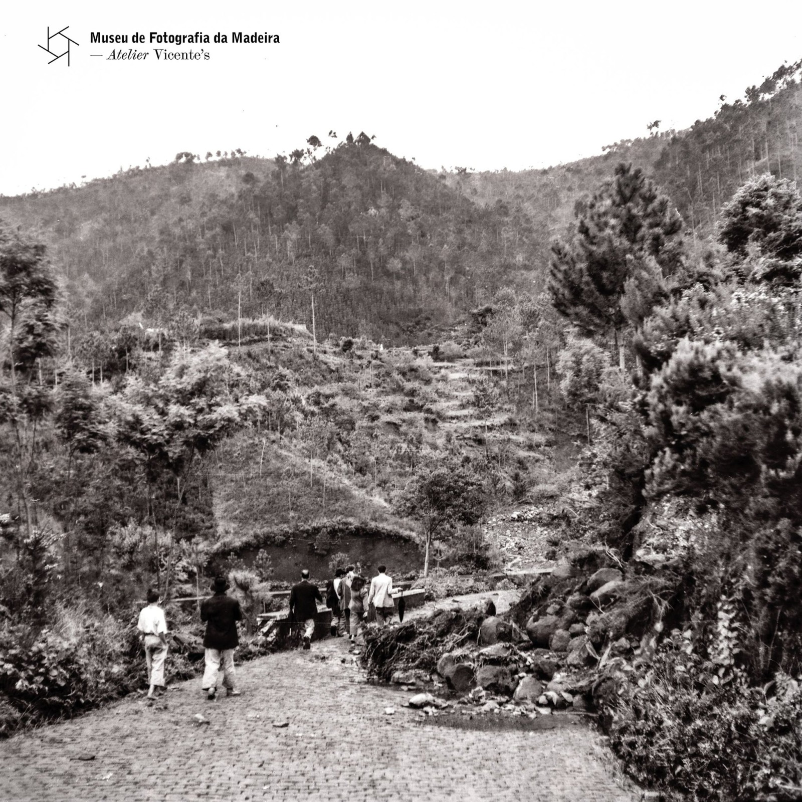 1AluviaoMachico.03.11.25