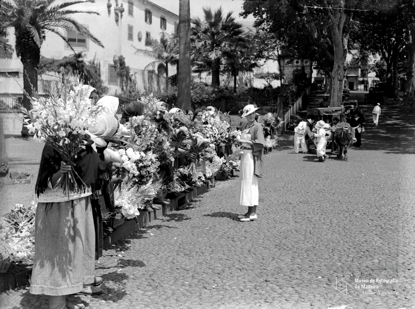 1floristaentradadocaisdoFunchal 30Abril 2026