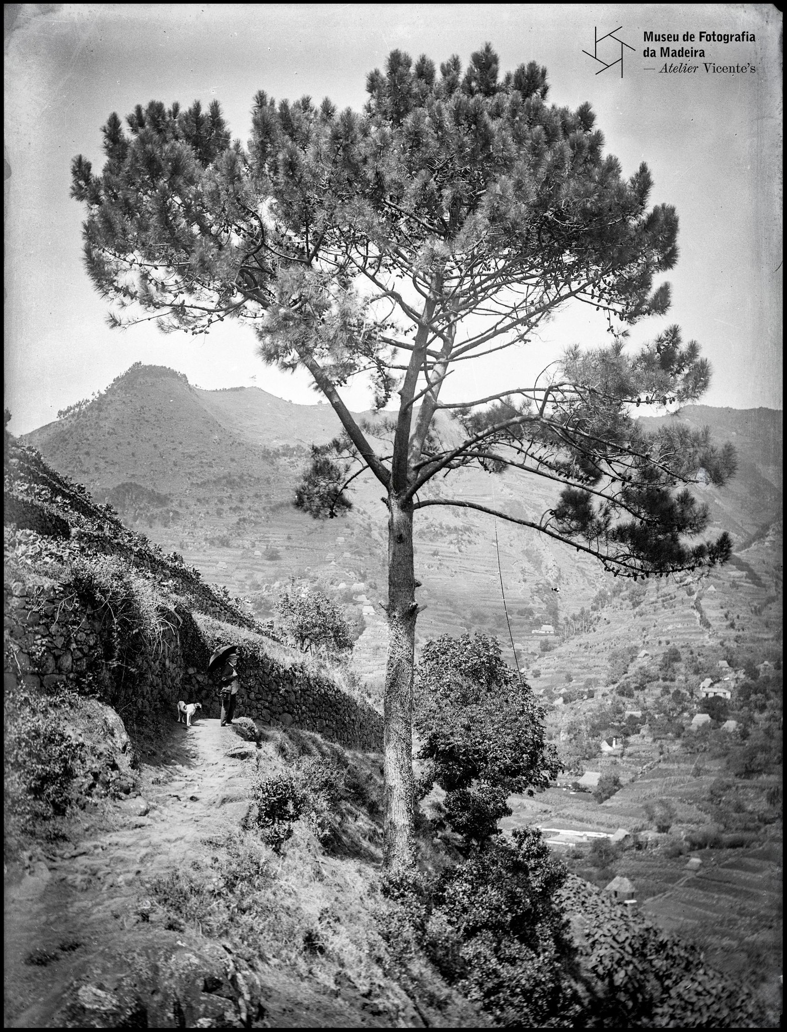 1paisagemrural n