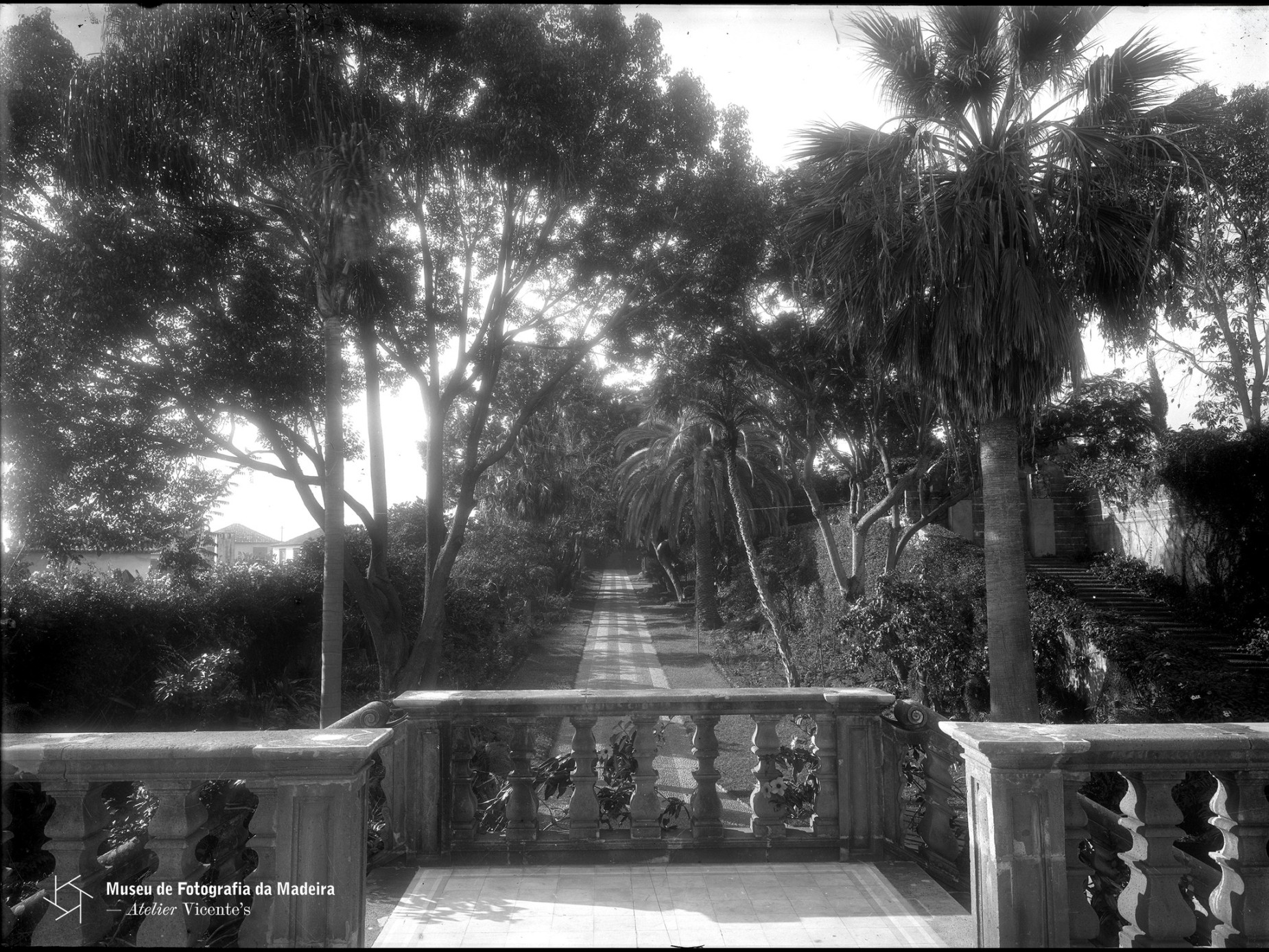 3quintasaojoao FEV2026