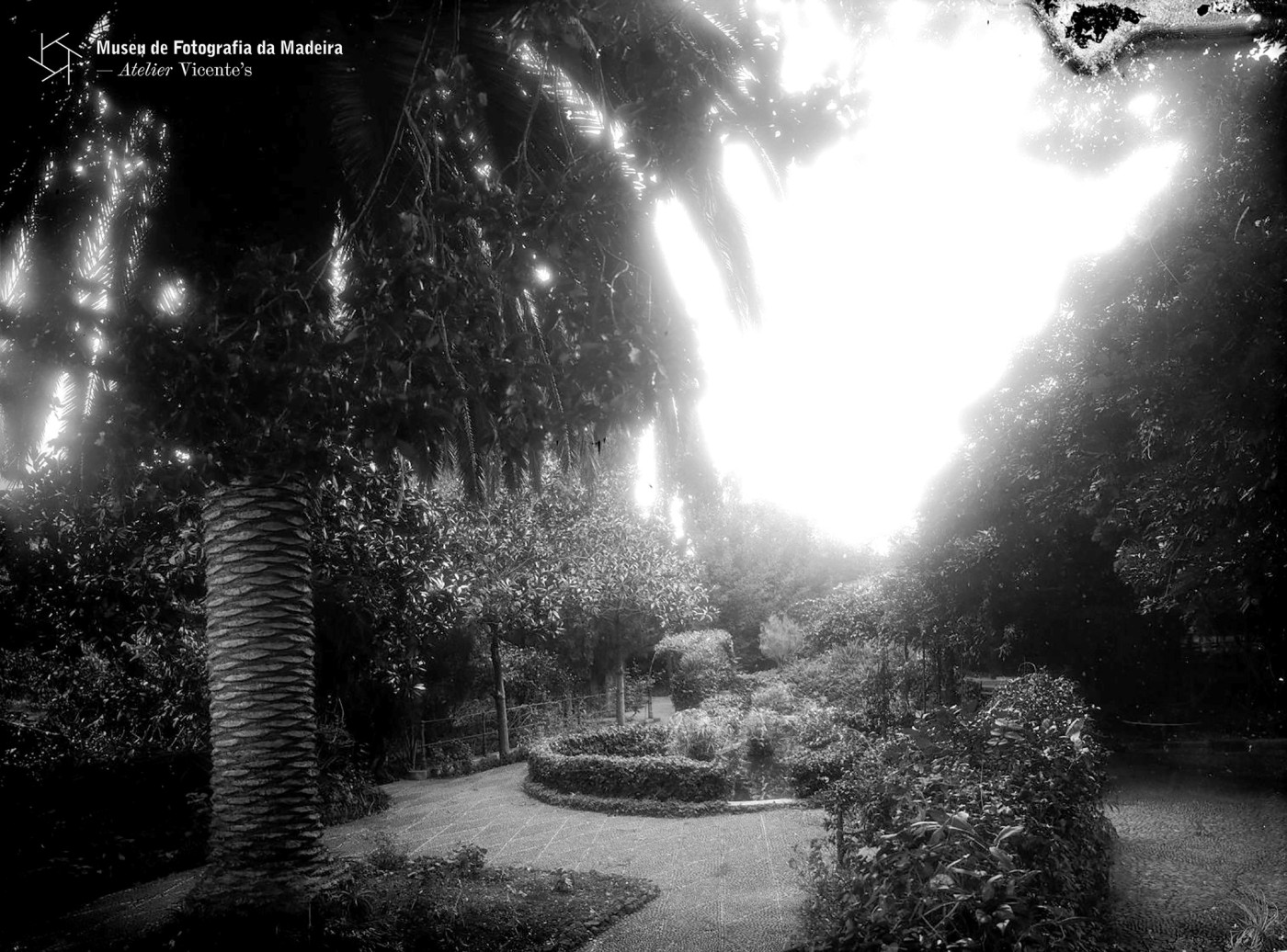 4quintavistaalegre MAR2026