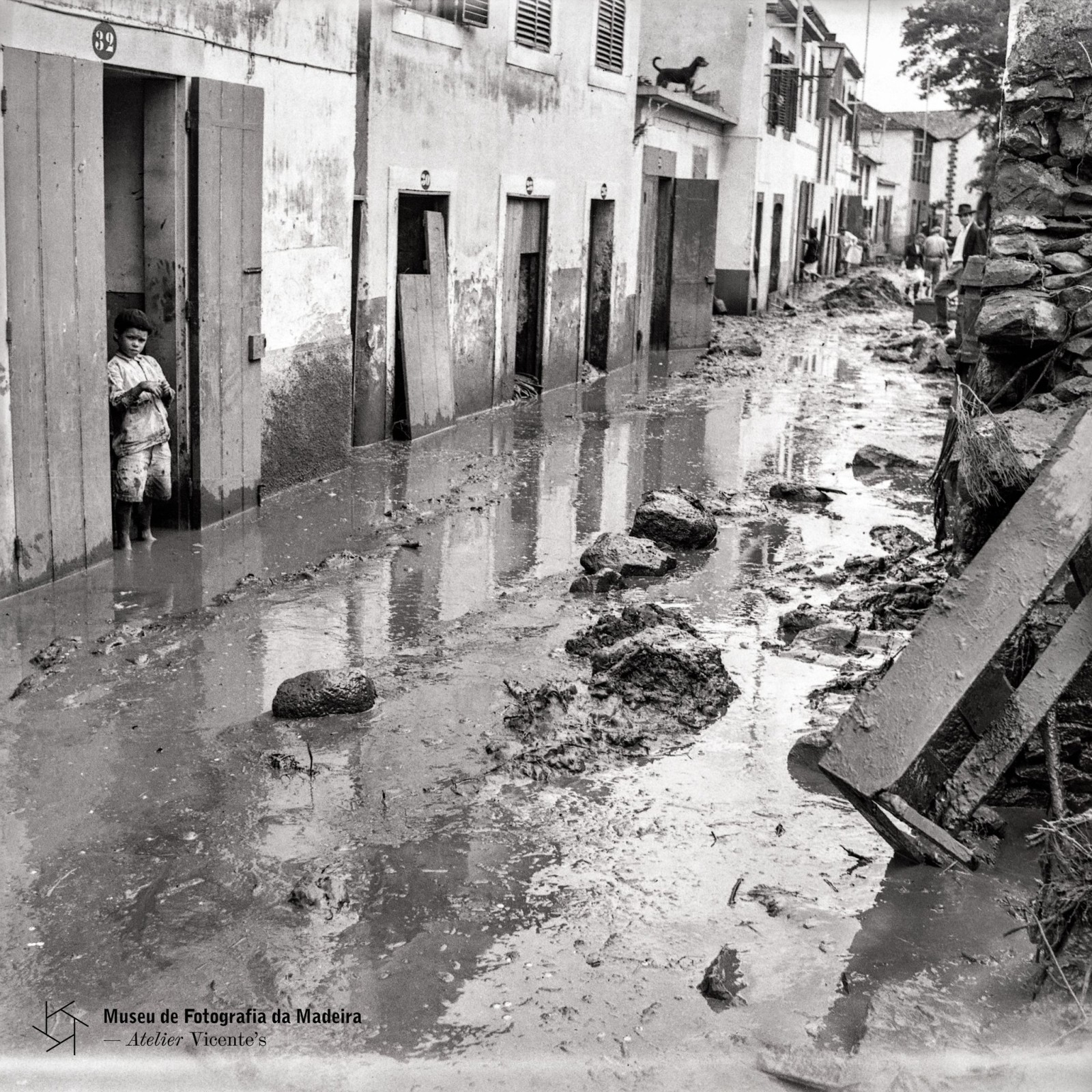 5aluviaoMachico.03.11.25