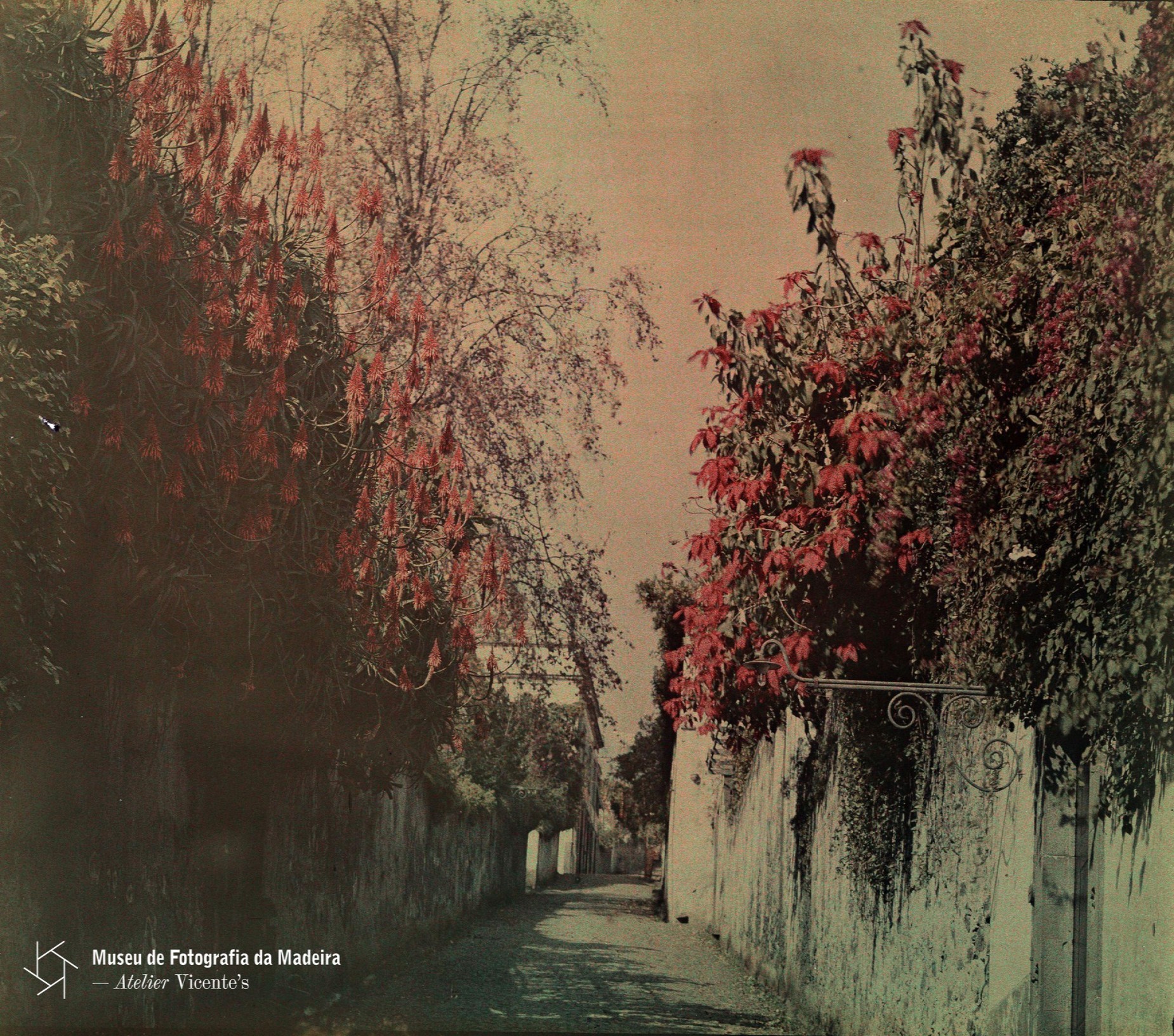 autochromelumiere ABRIL 2026