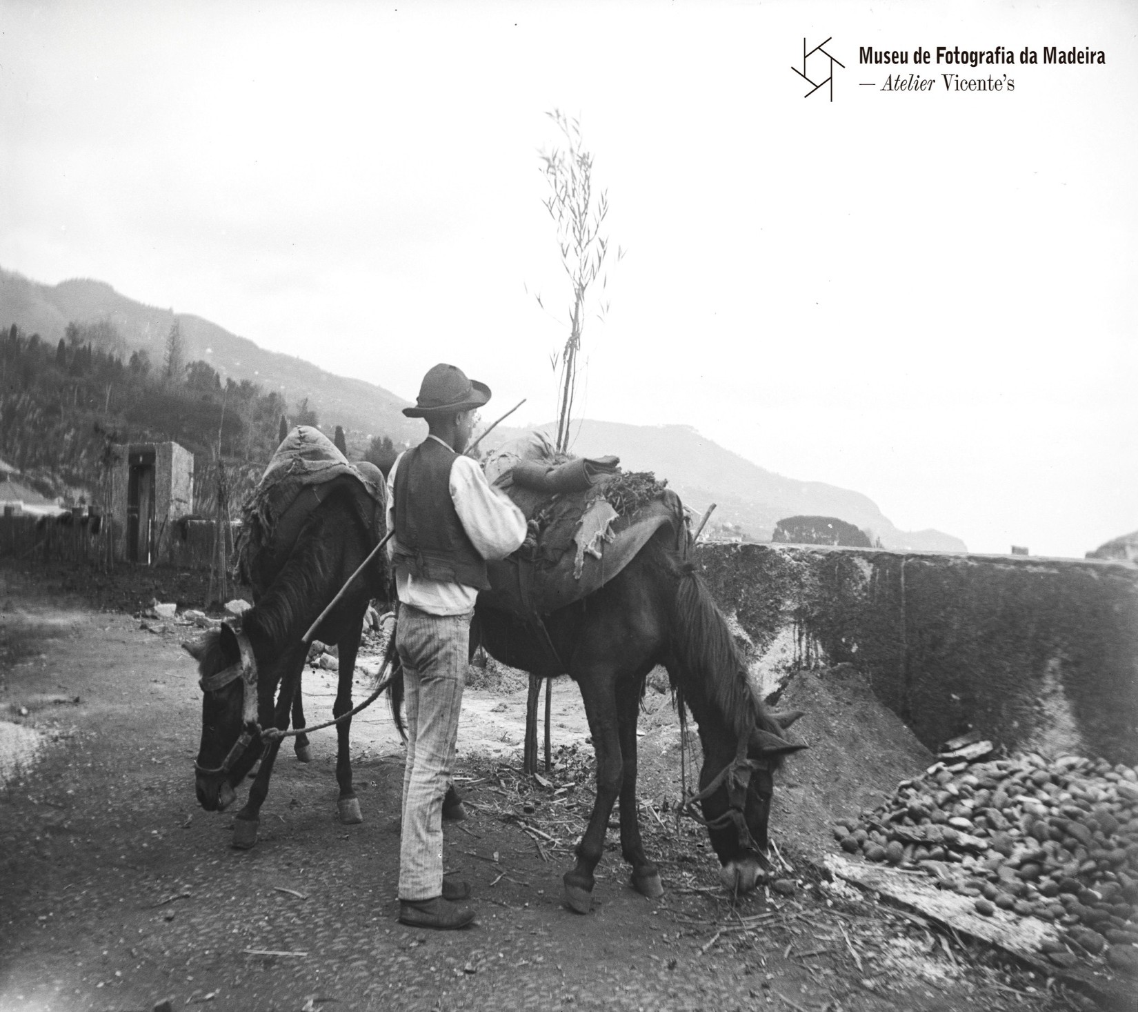 buurosdeareiaVIcentes ABRIL2026