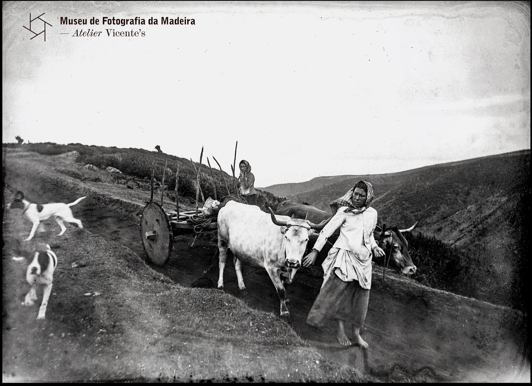 carreta n