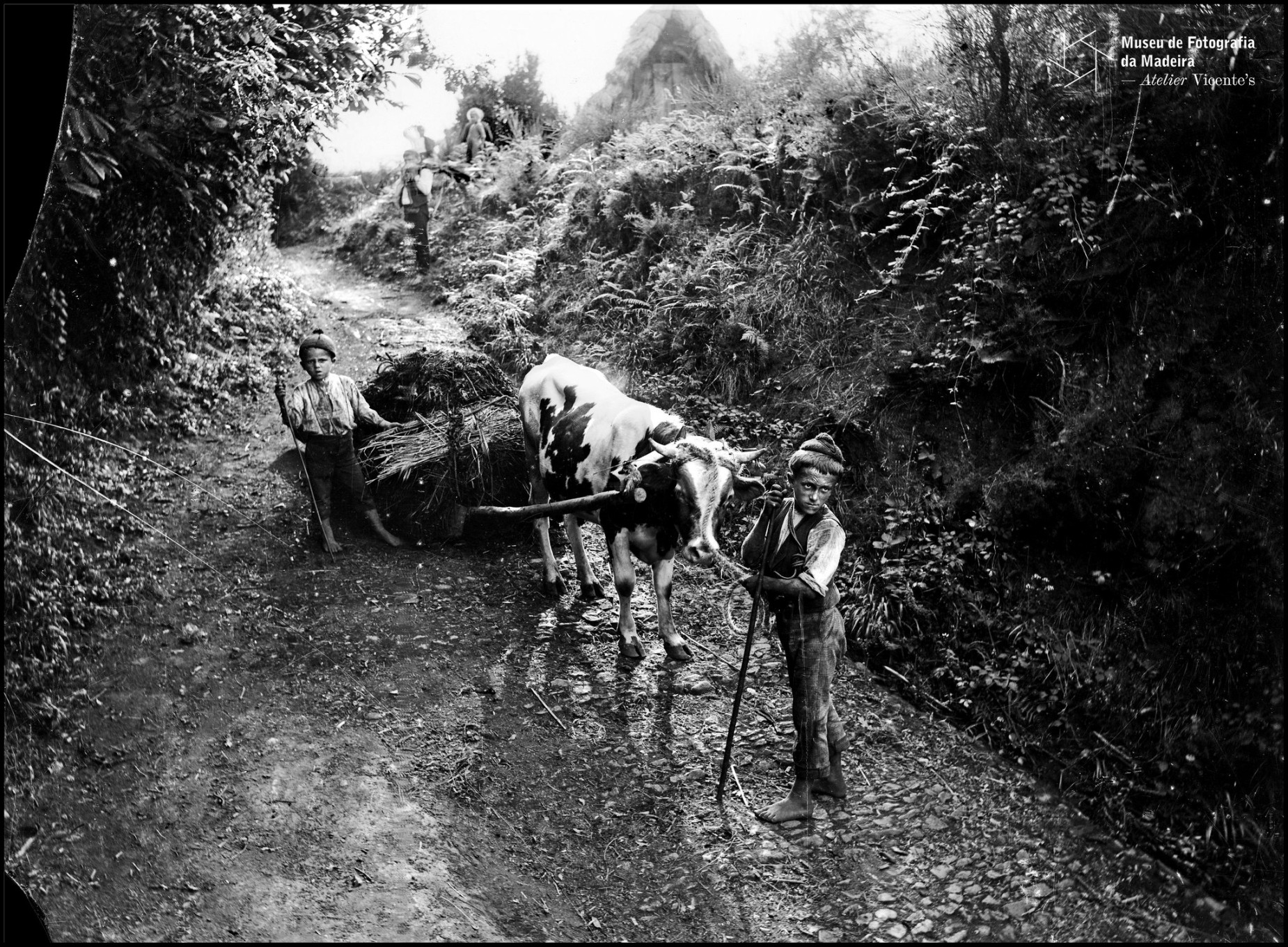 corsatransportandomato JAN2026