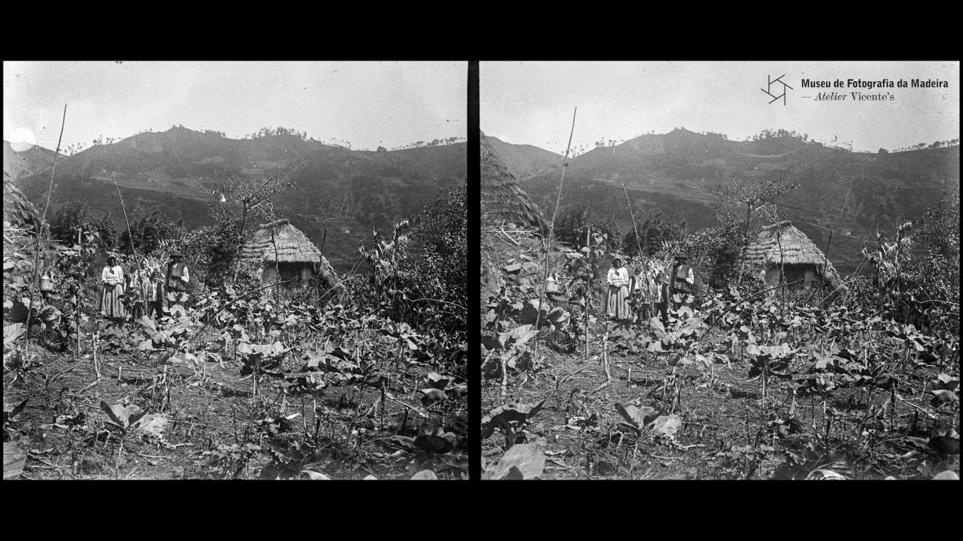 estereograma ABRIL2026