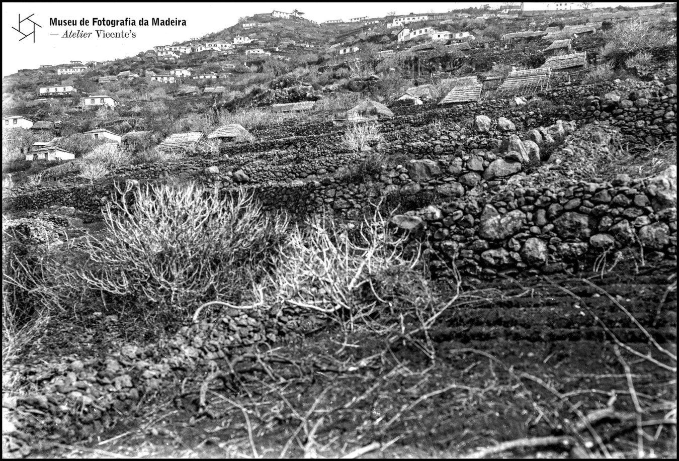 paisagemfajadaovelha MAR2026