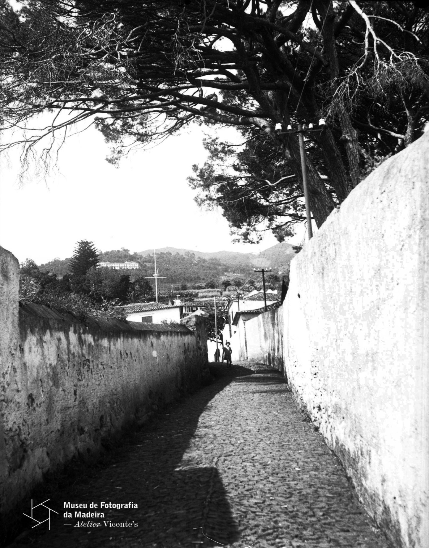 ruadatorrinha FEV2026