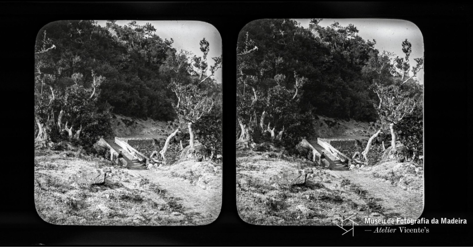 vistaparcialdoRibeiriFrio MAR2026