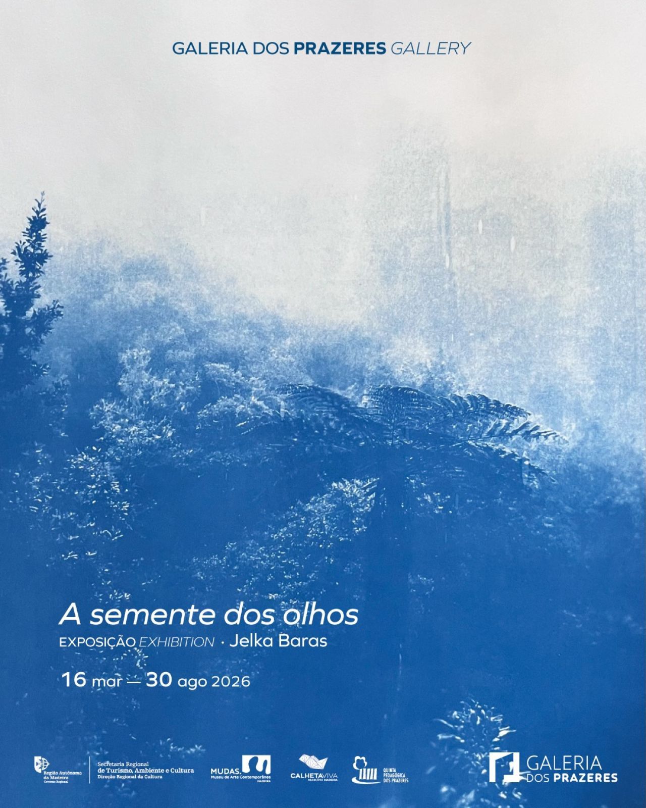 "A Semente dos Olhos"