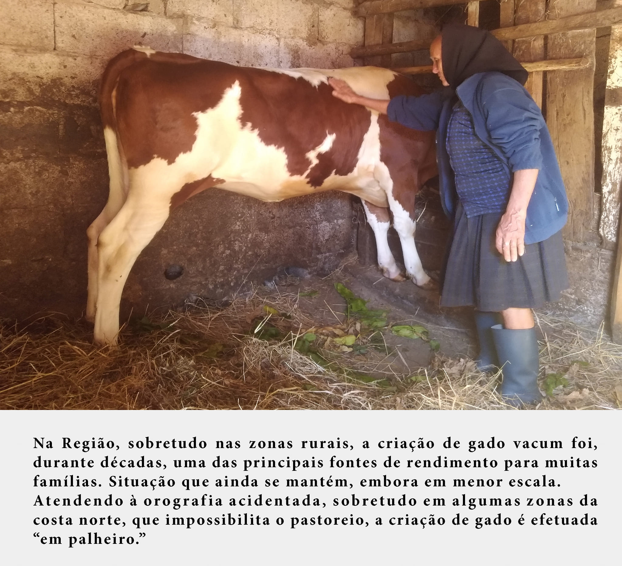 3ferrolho n